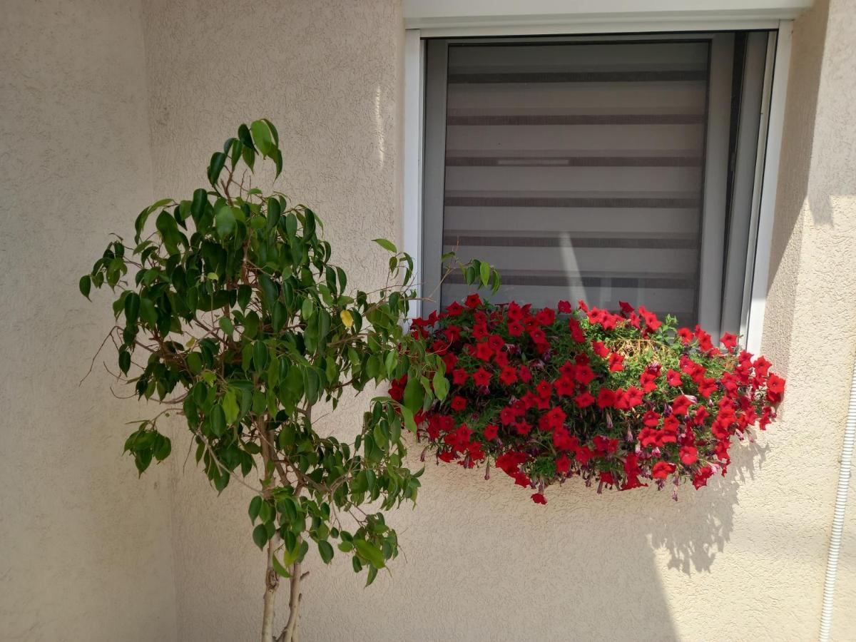 Leda Apartmani Semendria Exterior foto
