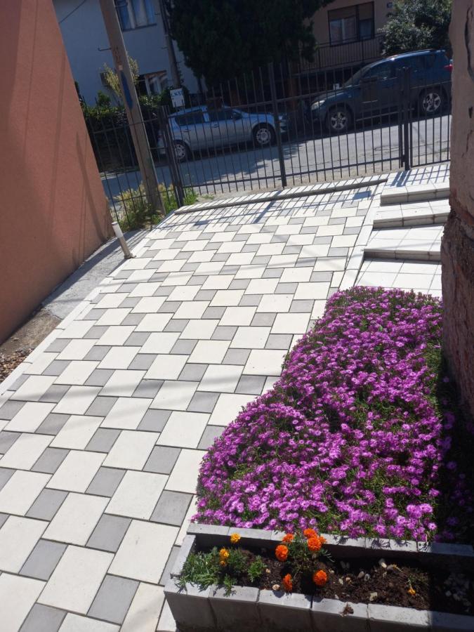 Leda Apartmani Semendria Exterior foto