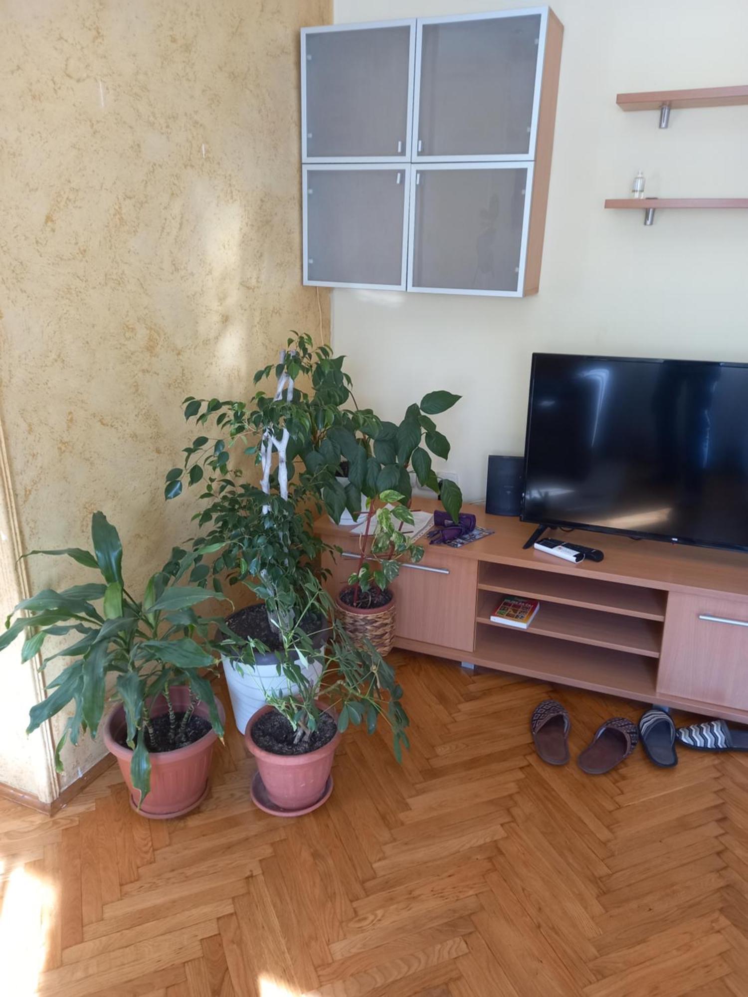 Leda Apartmani Semendria Exterior foto